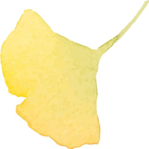 蓝狮平台注册：真爱大牌返场|| 一上线就被抢空的牌子，这次居然100+就能拥有